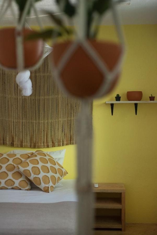La Punta Beach House プエルト・エスコンディード エクステリア 写真